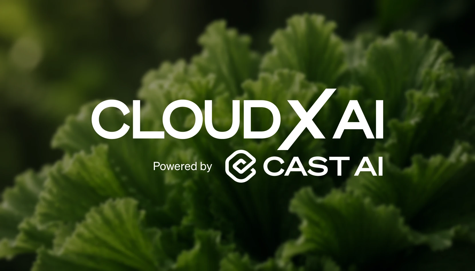 CLOUDxAI