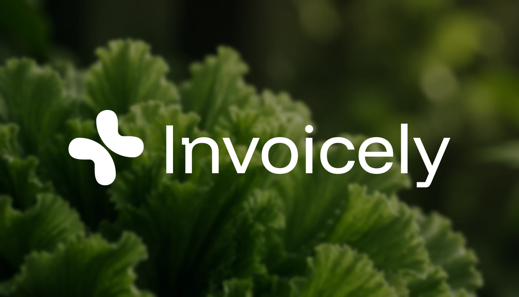 Invoicely