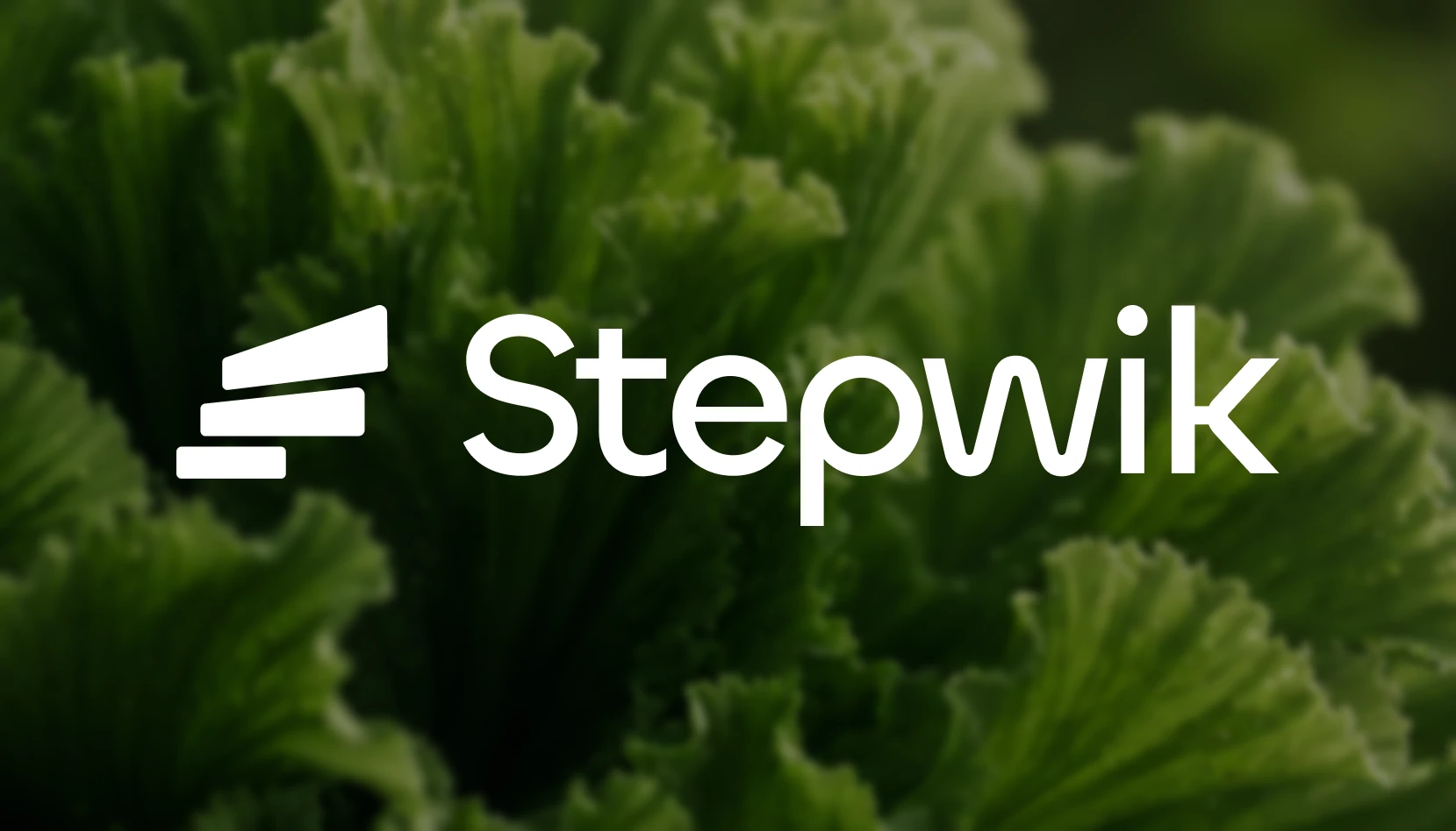 Stepwik